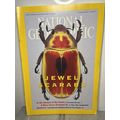 National Geographic Magazines February 2001 Jew...