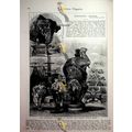 Performing Animals (1), Sad Victorian Social Hi...