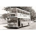 Black & White Photograph of Maidstone & Distric...