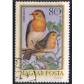 Hungary 1973 - SG2793 - 80fi multi - European R...