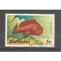 Barbados 1986 Marine Life 5c, used. SG765A/796A