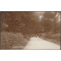 Habbard Hill, Weald, Kent, 1913 - Daniell Broth...