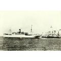Standard Fruit SS CONTESSA Official Postcard