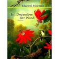 Im Dezember Der Wind