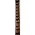 WIZARD OF OZ . Pk RED - B048v . 1 STRIP OF 10 -...