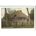 Sussex PEASMARSH Cord Bat Cottage Postcard (7547)