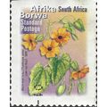 SOUTH AFRICA, FLOWER, Black-eyed Susan, Thumber...