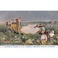 Gathering Grapes Gilbey's Vineyards Wine From 1...
