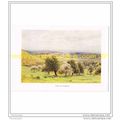 VALE OF EVESHAM, WORCESTERSHIRE, ENGLAND, BOOK ...
