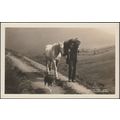 The Cast Shoe, A Lakeland Shepherd, c.1920s - G...