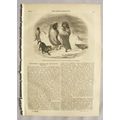 1842 The Penny Magazine No. 630 South America, ...