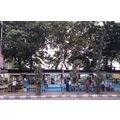 College Street Boi Para Kolkata India Book Shop...