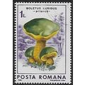 Mi 4289: 1 L. multicoloured Fungi: Lurid Bolete...