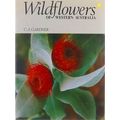 Wildflowers Of Western Australia