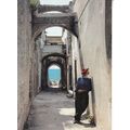 Riviera Ligure a typical lane Italy Postcard un...