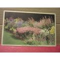 THE HARDY FLOWER BORDER vintage postcard by POP...