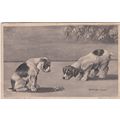 ED 209 DOGS -'HULLO, WHAT IS IT BY MAUD SCRIVEN...