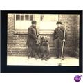 LONDON Harrow Green Dancing Bear Postcard (NS39)