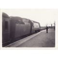 Railway Photo SR WC 34103 Calstock Basingstoke ...