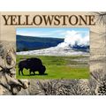 Yellowstone National Park with Moose Laser Engr...