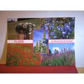 multiview of FLOWERS. French unused postcard da...