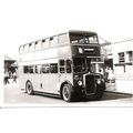 Black & White Photograph of Southern Vectis Omn...