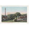 The Marquis of Anglesey's Column Postcard Peaco...