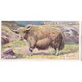 Players Natural History Card No. 49 Yak