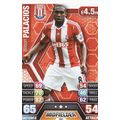 Match Attax 2013/2014 260 Wilson Palacios Stoke...