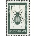 BULGARIA, INSECT, Caterpillar Hunter, Calosoma ...
