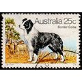 Australia 1980 Dogs Border Collie 25c Used Stamp