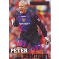 Merlin Premier Gold English Premier League 1996...