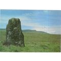 STANDING STONE AND CARMARTHEN FANS unused postc...