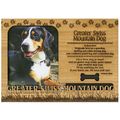 Greater Swiss Mountain Dog Engraved Wood Pictur...