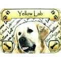 Yellow Lab Photo Fridge Magnet