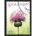 SLOVENIA 2007: FLORA - C SERRATULA LYCOPIFOLIA USED (G22)