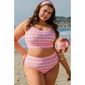 Pink Plus Size Plaid Print High Waist Bikini Set