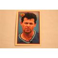 Bob Boone 1989 Bowman TIFFANY NO. 119