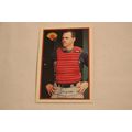 Tim Laudner 1989 Bowman TIFFANY NO. 154