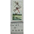 Pond Life card No. 7 Damsel-Flies