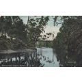 Bomaderry Creek Australia Antique New South Wal...