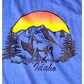 Idaho Souvenir Single Stitch Blue T-Shirt Men's...