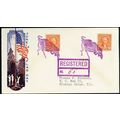 Banner, VA American Flag in Purple Fancy Cancel...