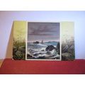 FIFE HESS?, FIFESHIRE used antique postcard 190...