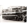 Black & White Photograph of Ribble Motor Servic...