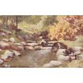 B646 PADLEY WOODS, DERBYSHIRE. PRINTED ART POST...