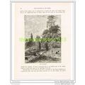 VIEW IN ABYSSINIA (ETHIOPIA), Book Illustration...