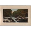 ETW Dennis & Sons Postcard The Strid Bolton Abb...