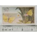 Vintage: Dutch card Jac. P. Thijsse, Lente No. ...