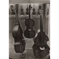 Old Cello Violins Bass Musical Instruments Mitt...